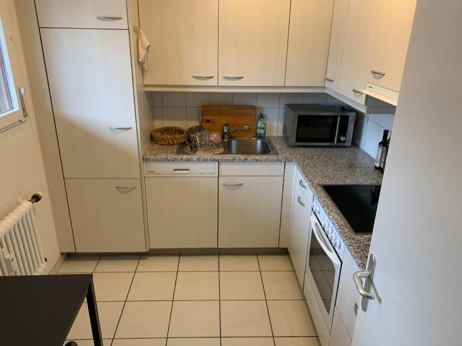Cozy Flat In The Center Of Kleinbasel Apartment Ngoại thất bức ảnh